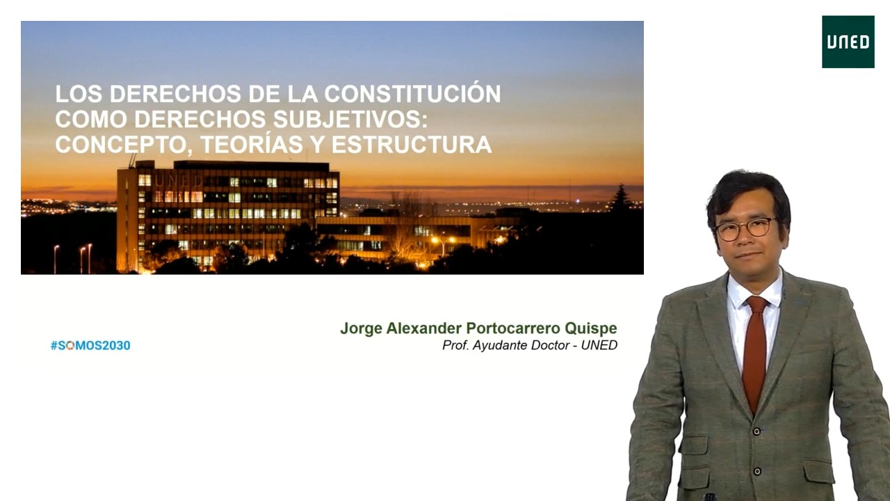 Los derechos de la Constitución como derechos subjetivos: concepto y estructura