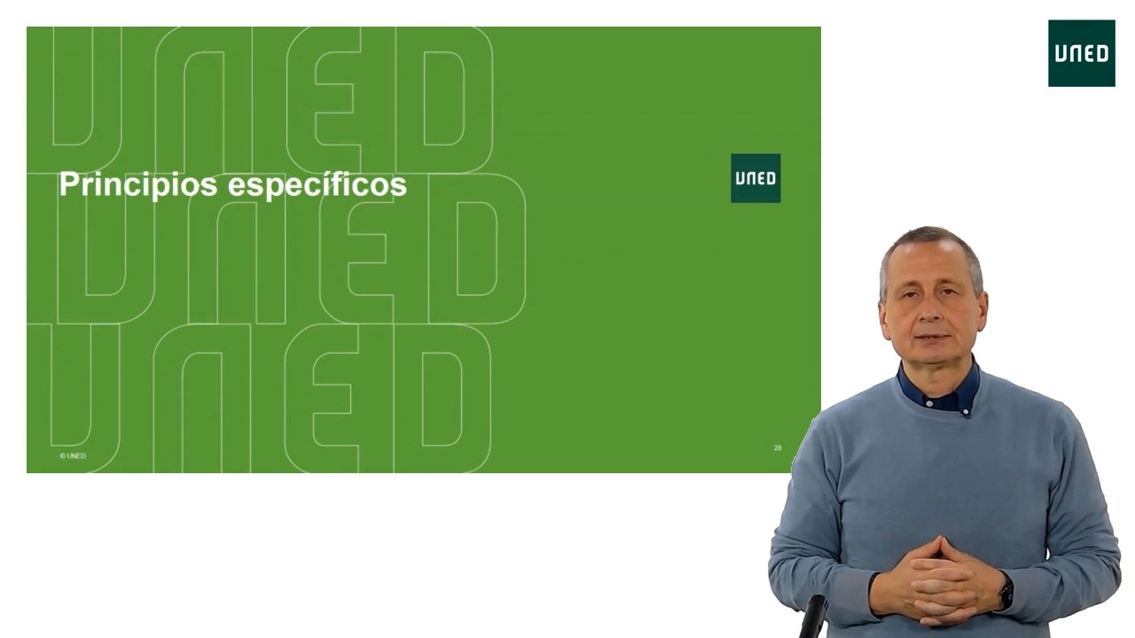 Principios específicos