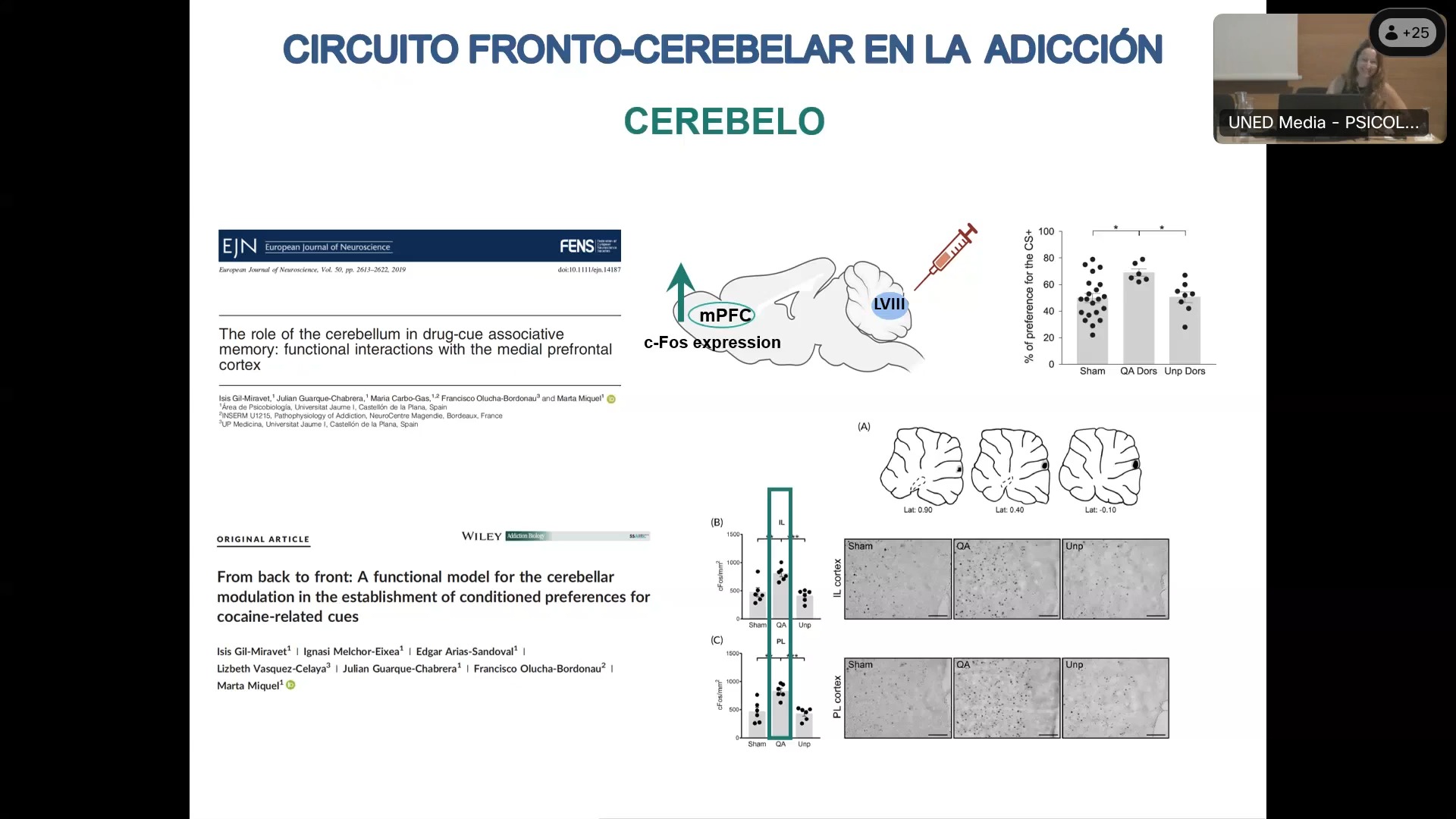 Interacción noradrenalina-lactato para mejorar la consolidación de la memoria