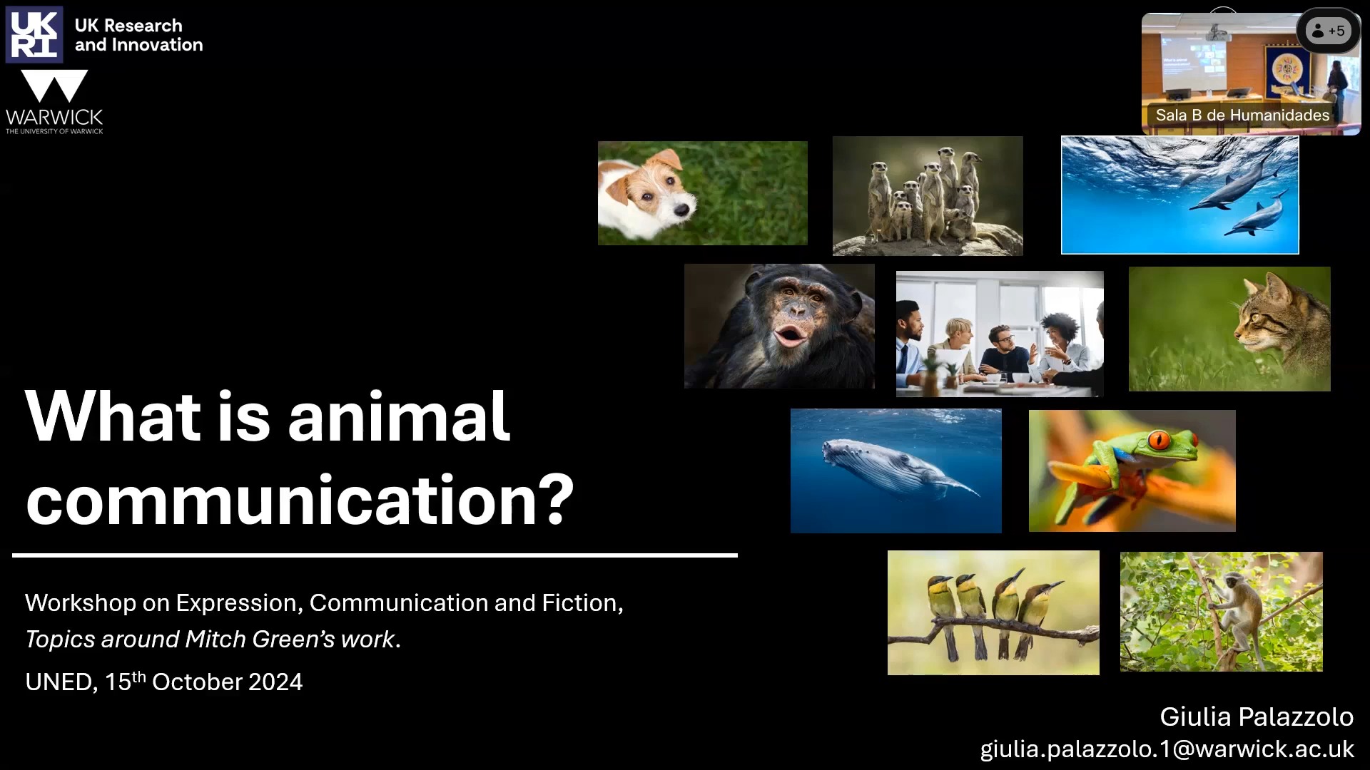 What is Animal Communication?