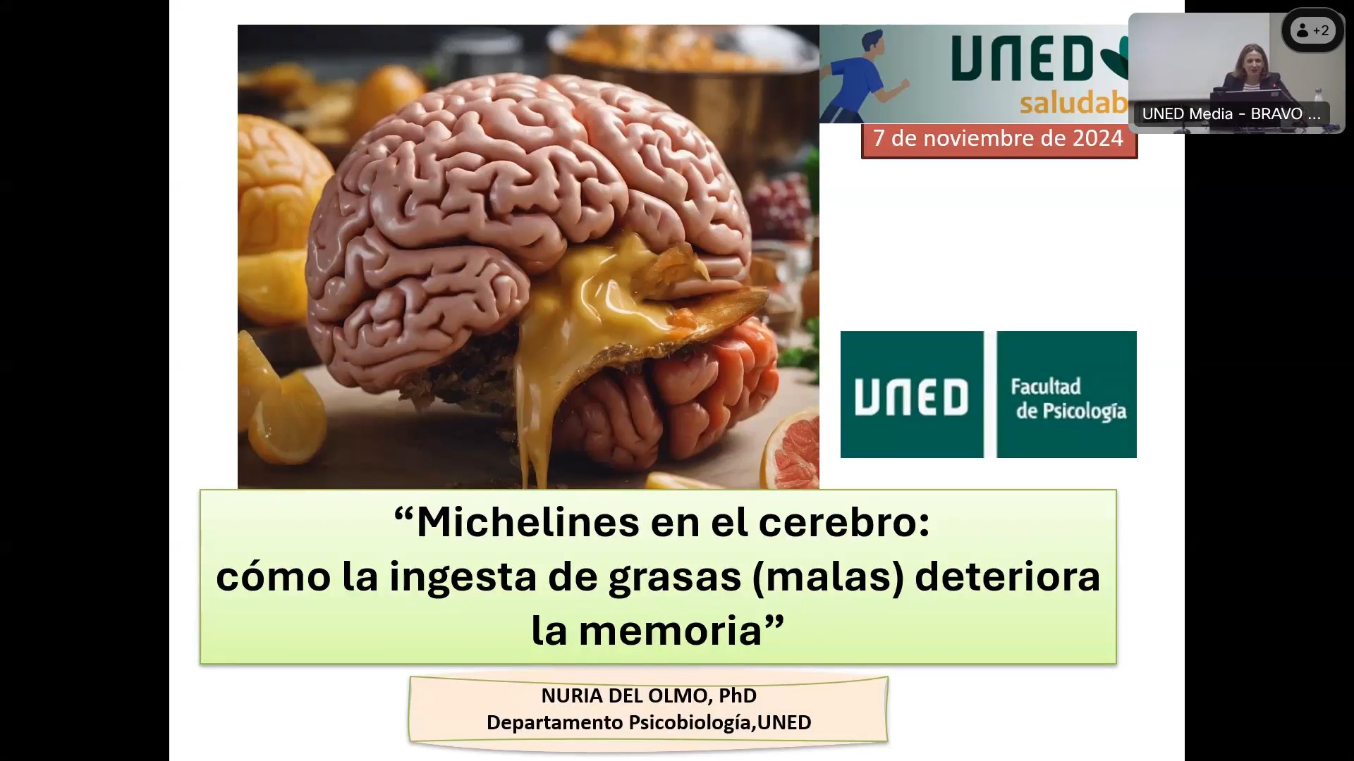 Michelines en el cerebro cómo la ingesta de grasas (malas) deteriora la memoria