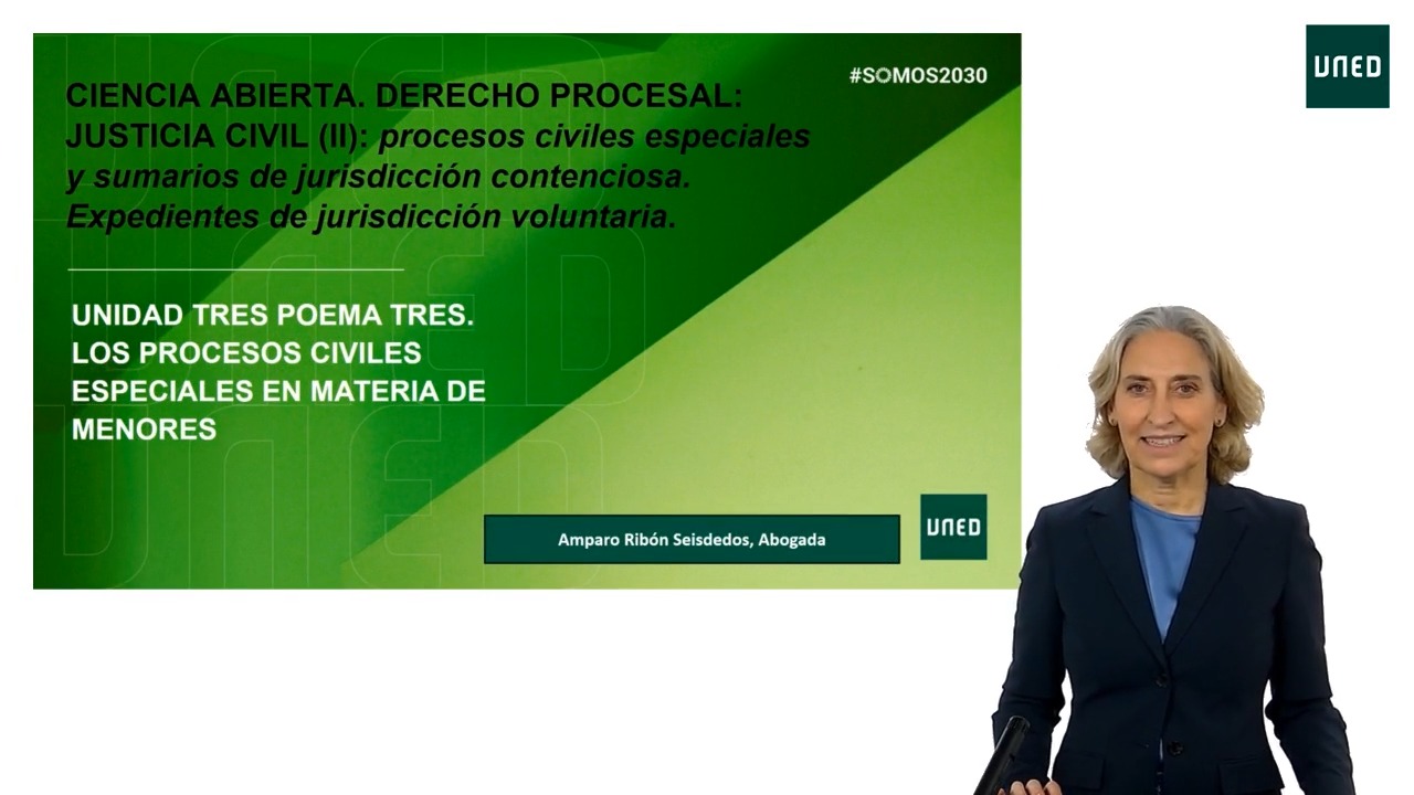 Poema 3: Los procesos civiles especiales en materia de menores