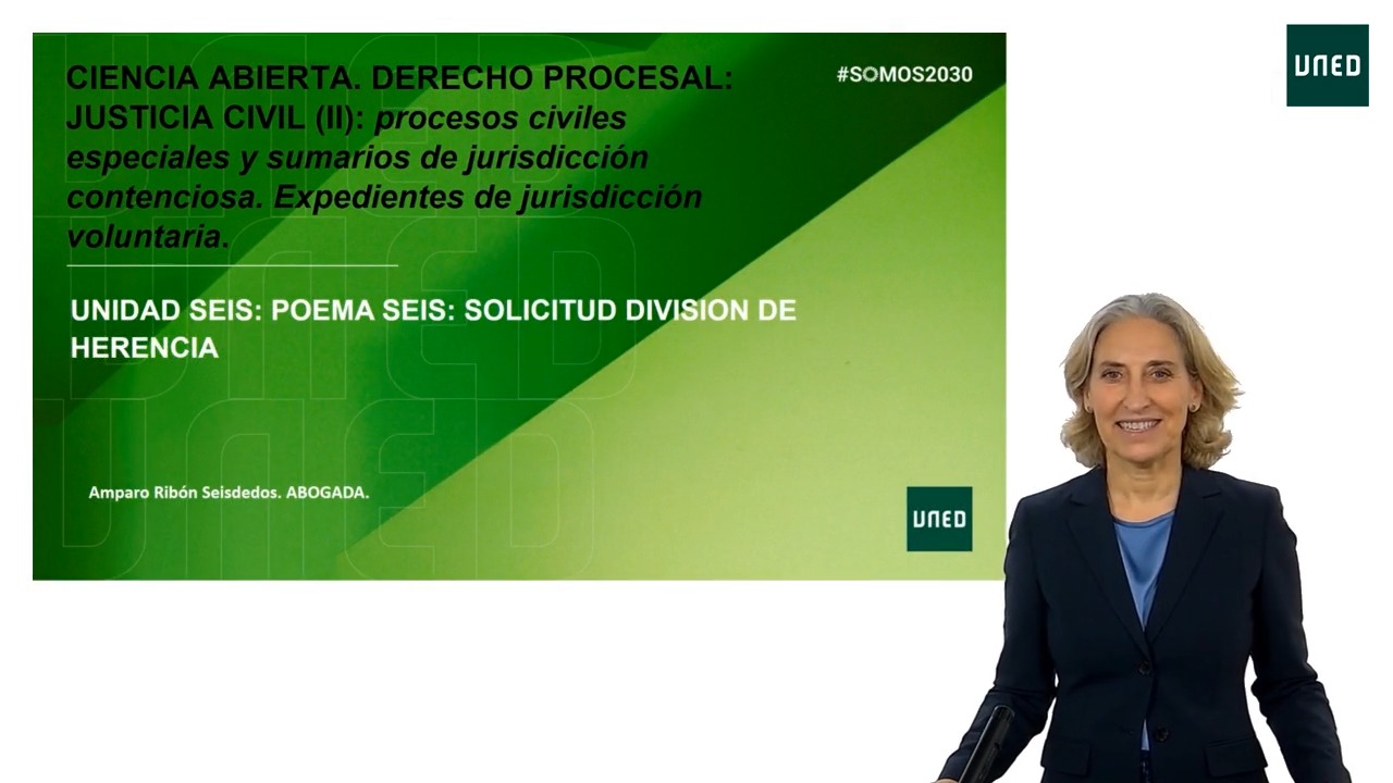 Poema 6: Los procesos de división judicial de patrimonios