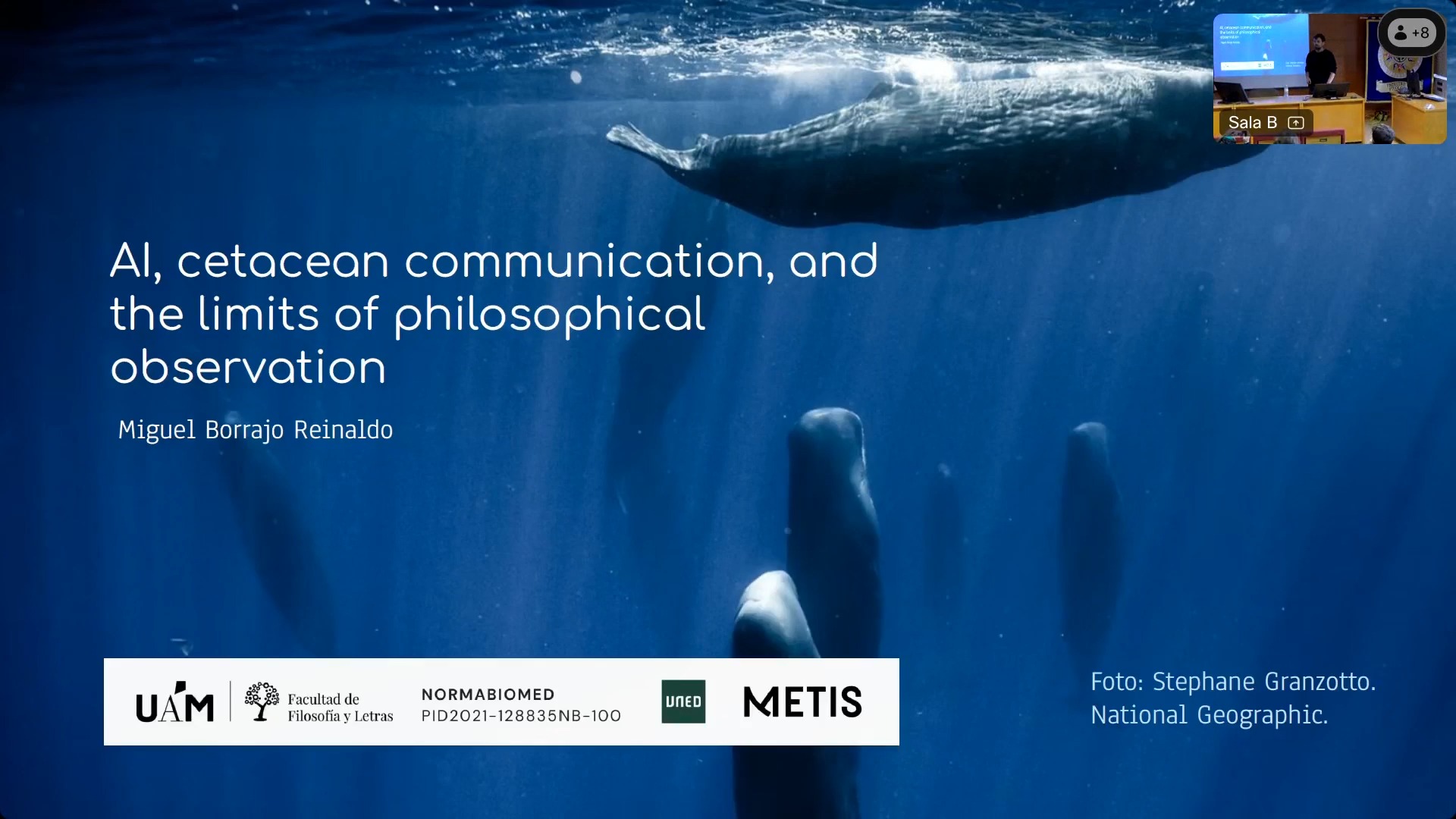 AI, cetacean communication, and the limits of philosophial observation