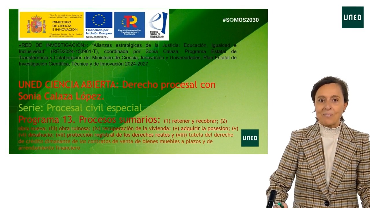 Programa 13. Procesos sumarios