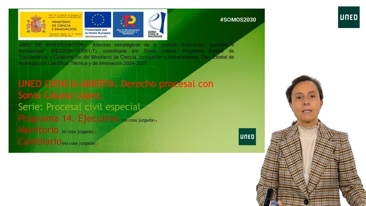 Programa 14. Ejecutivo. Monitorio. Cambiario.