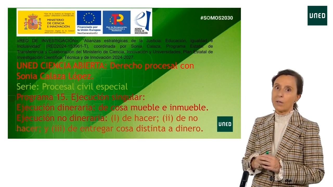 Programa 15. Ejecución singular: Ejecución dineraria: de cosa mueble e inmueble. Ejecución no dineraria: (I) de hacer; (II) de no hacer; y (III) de entregar cosa distinta a dinero