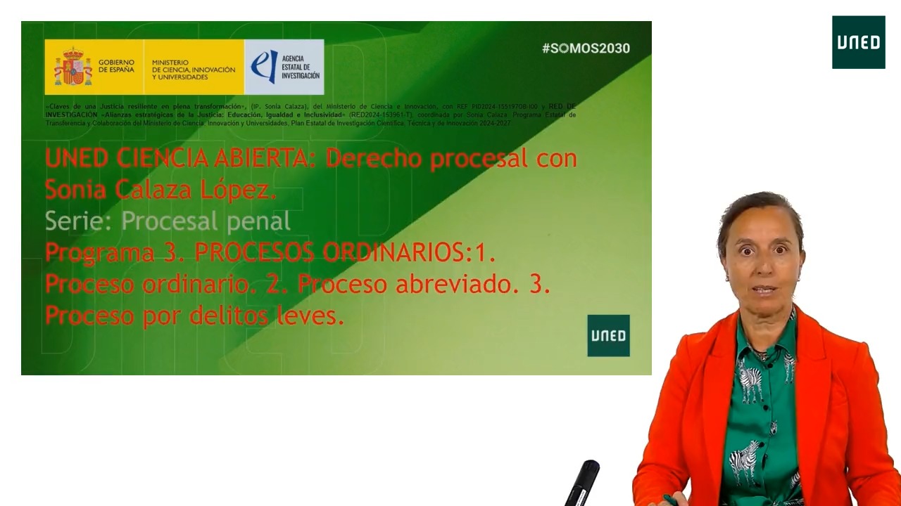 Programa 3. PROCESOS ORDINARIOS:1. Proceso ordinario. 2. Proceso abreviado. 3. Proceso por delitos leves