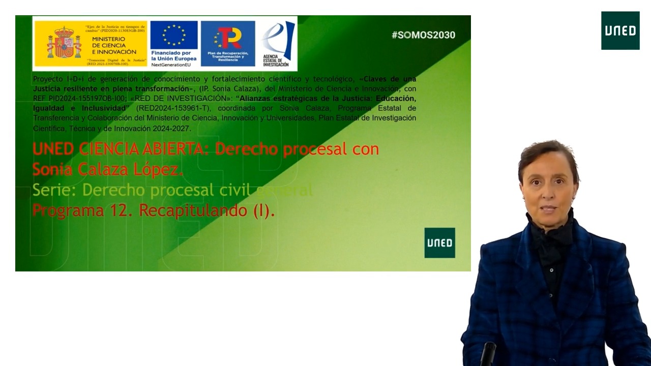 Programa 12. Derecho procesal civil general: Recapitulando (I)