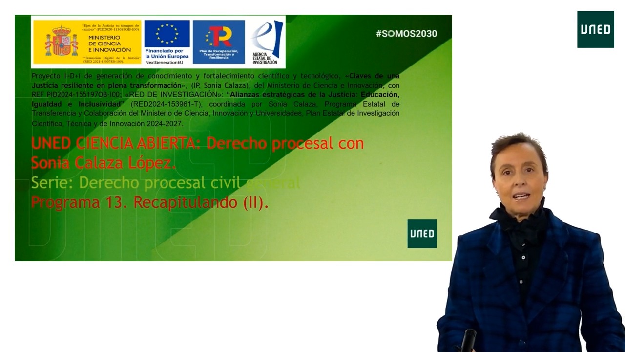 Programa 13. Derecho procesal civil general: Recapitulando (II)