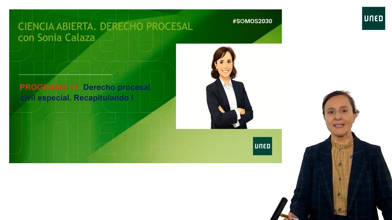Programa 17. Derecho procesal civil especial: Recapitulando (I)
