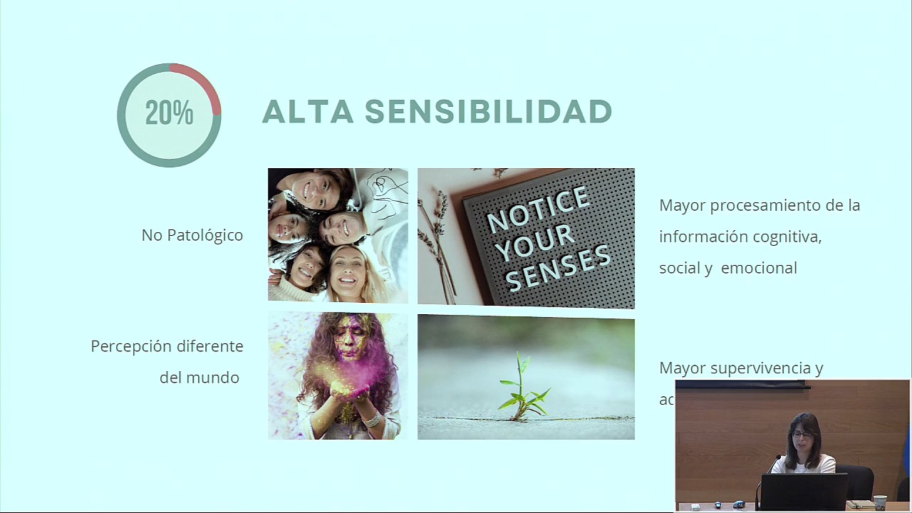 Alta sensibilidad y funciones ejecutivas: Personalidad, ansiedad y depresión