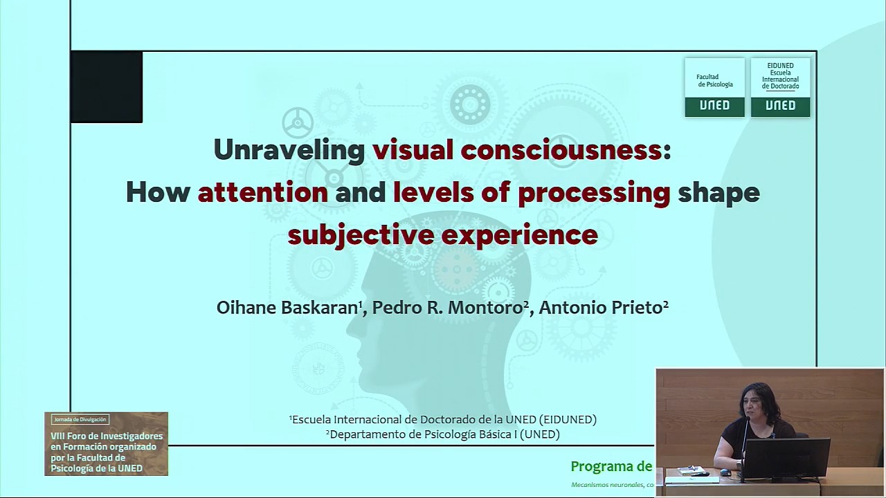 Unraveling visual consciousness: How attention and levels of processing shape subjective experience and brain activity