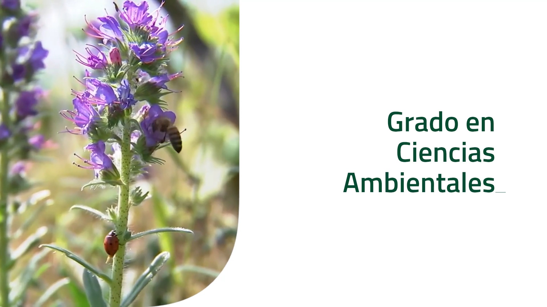 PROMO Grado en Ciencias Ambientales