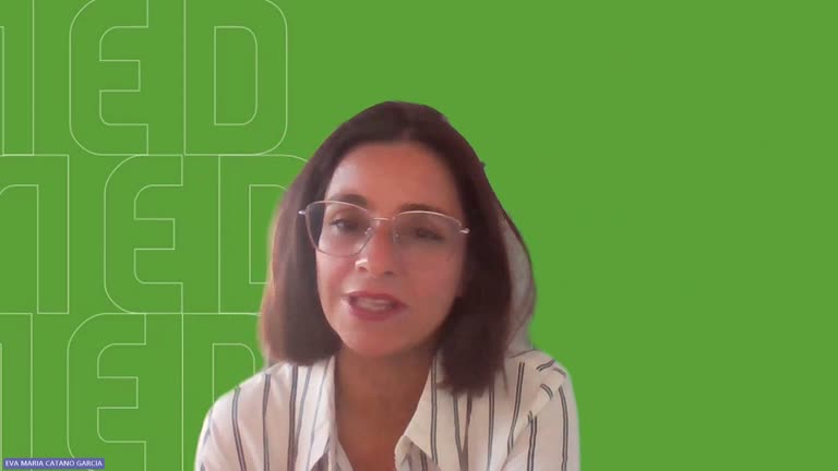 Presentación Línea 4