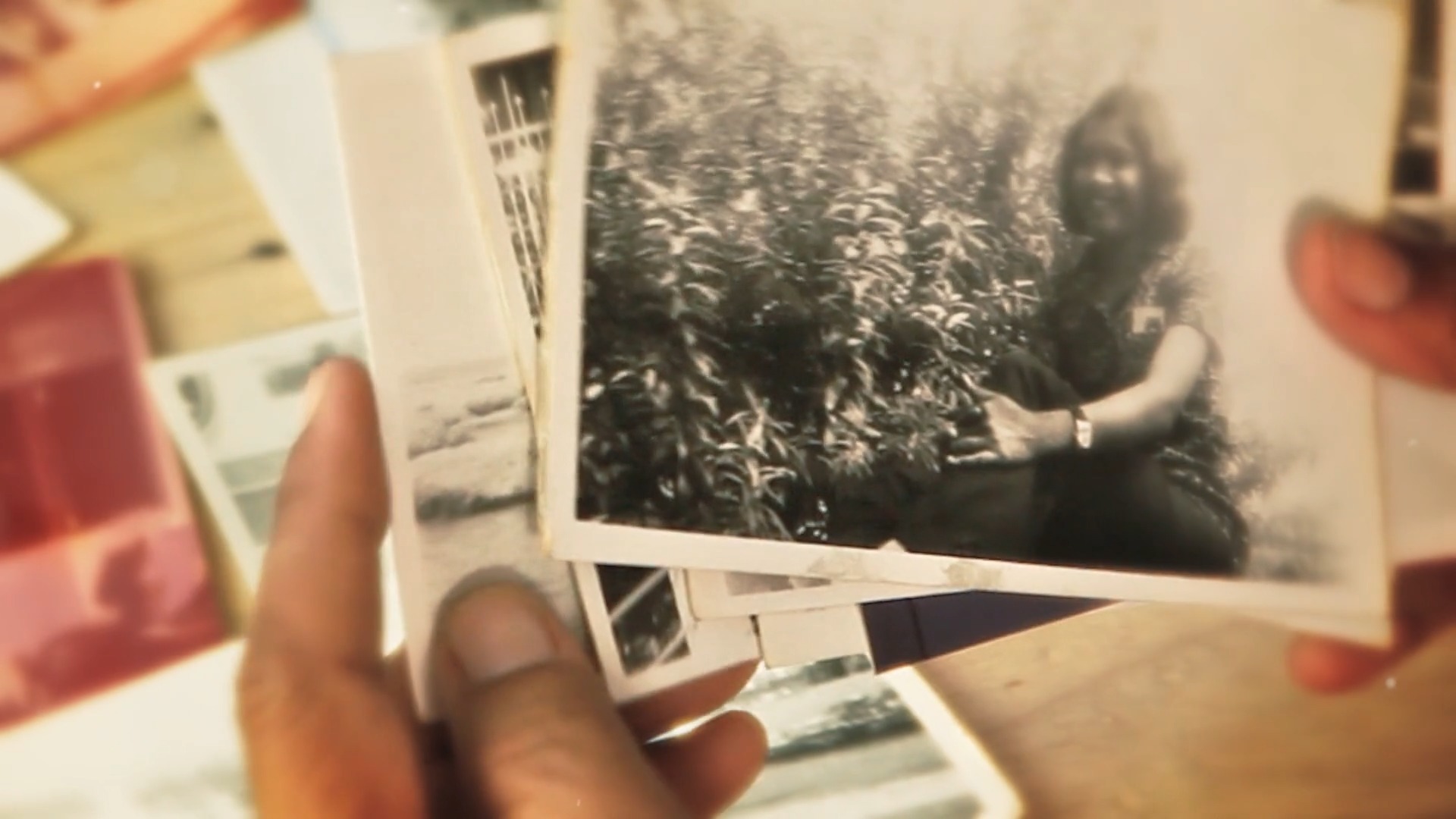 Respuestas de la Ciencia. ¿Qué es la terapia de reminiscencia?