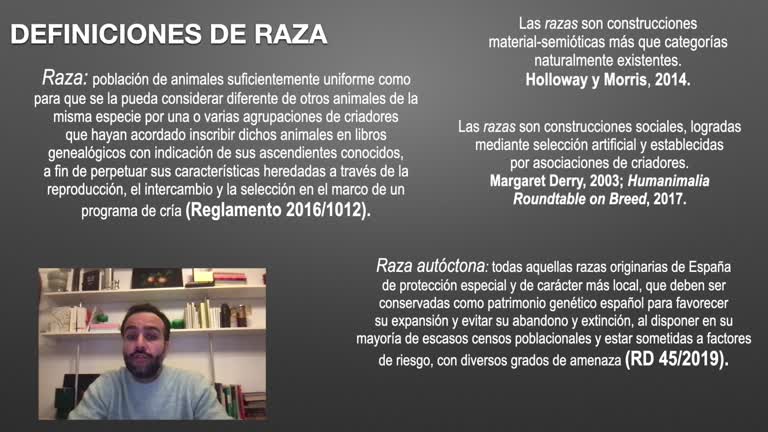 Procesos de reconocimiento, cría, conservación y mejora de razas y variedades de gallinas autóctonas españolas. Dispositivos que traen al mundo gallinas de raza