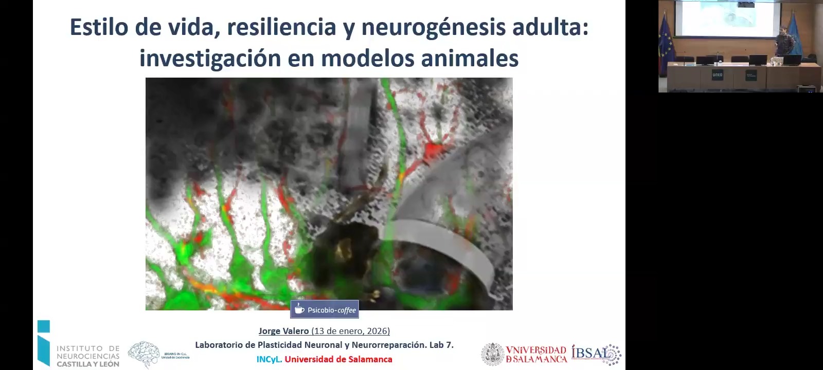 Estilo de vida, resiliencia y neurogénesis adulta: investigación en modelos animales