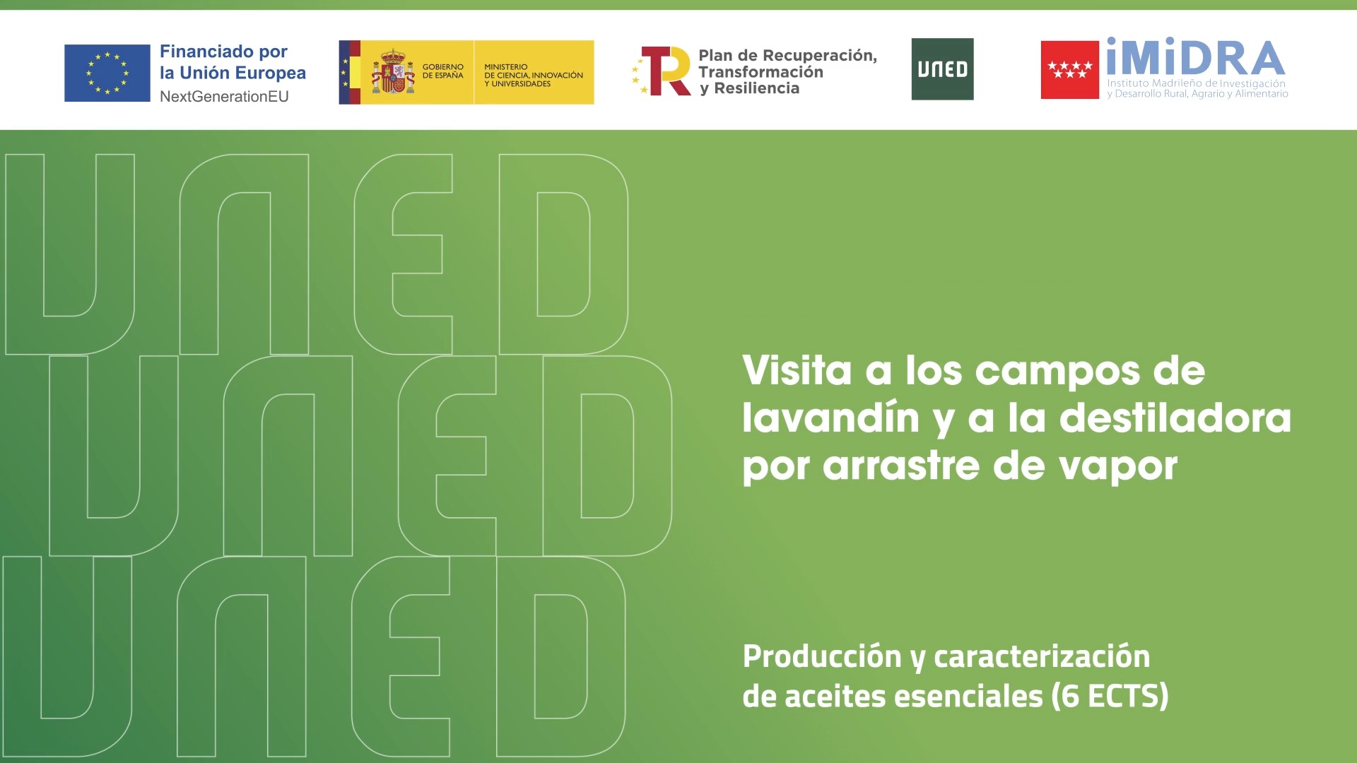 Visita a los campos de lavandín y a la destiladora por arrastre de vapor para la producción de su aceite esencial situados en Pezuela de las Torres.