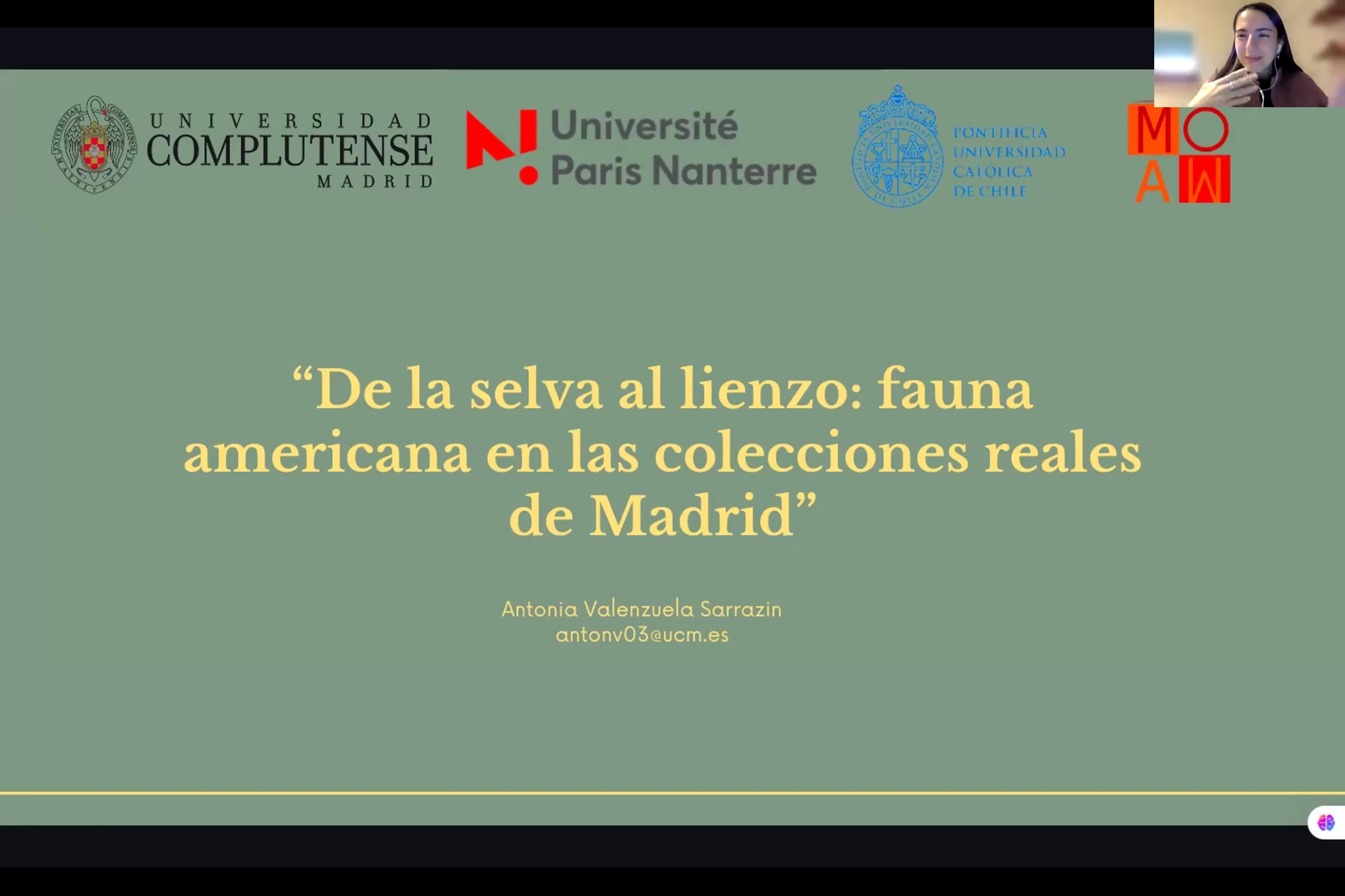 De la selva al lienzo: fauna americana en las colecciones reales de Madrid