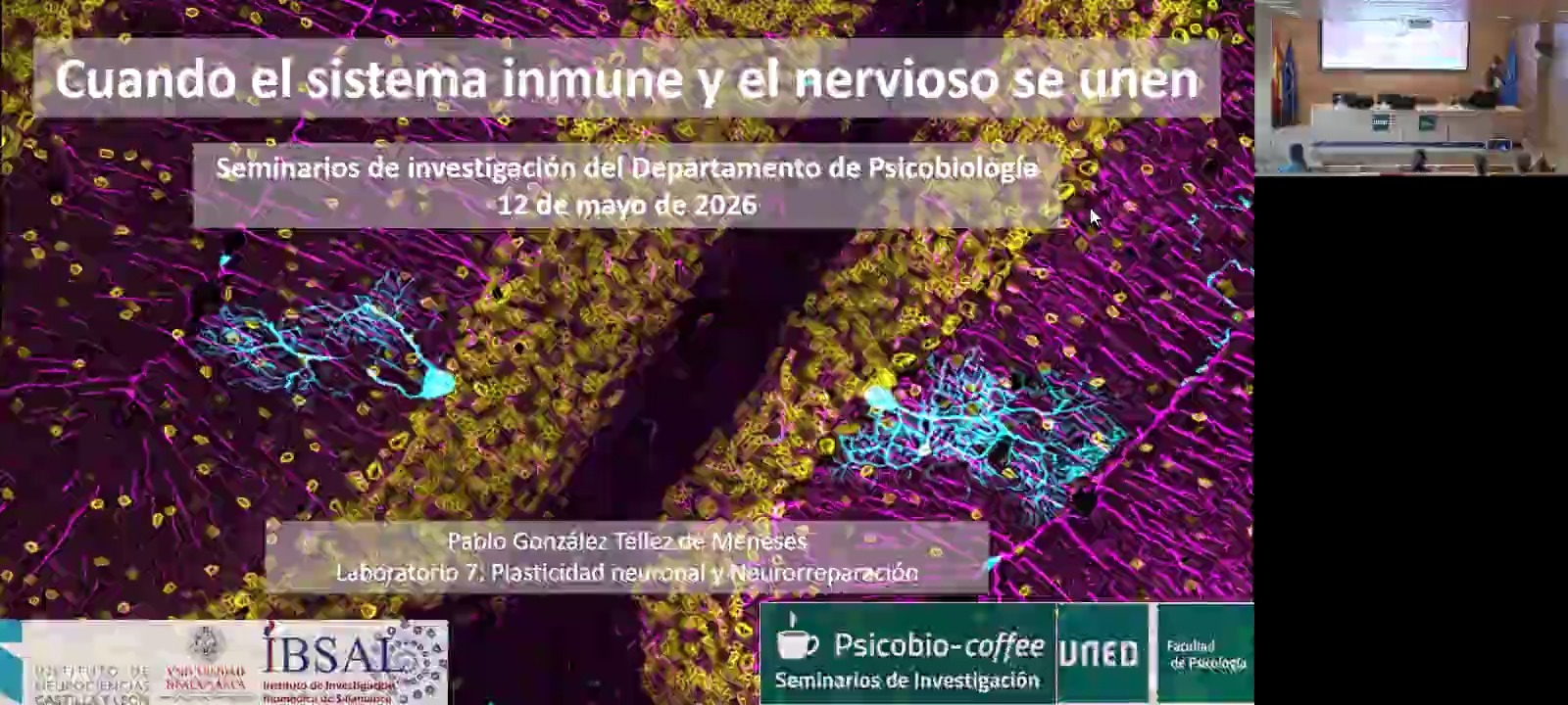 Cuando el sistema inmune y el nervioso se unen