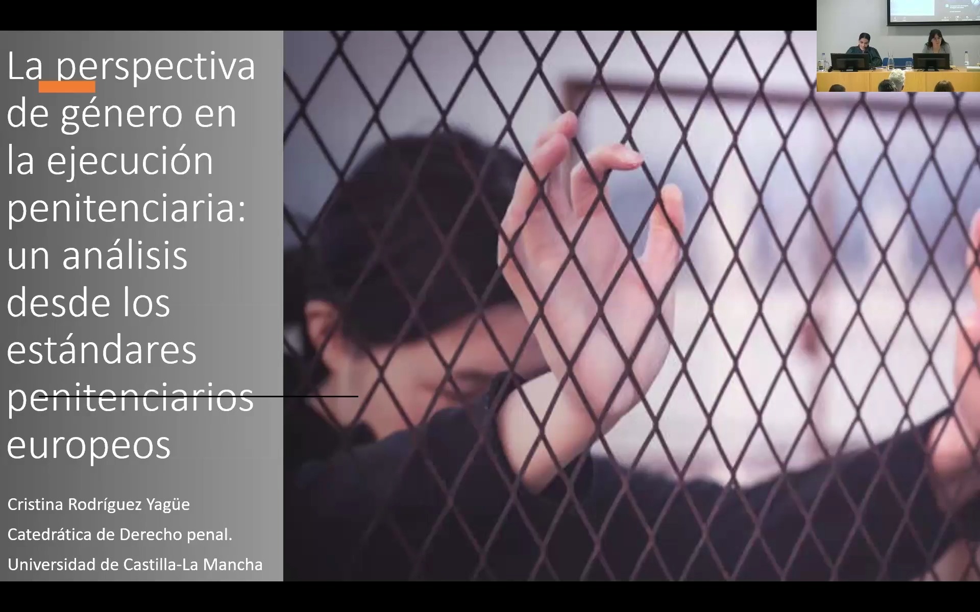 La perspectiva de género en la ejecución penitenciaria: un análisis desde los estándares penitenciarios internacionales