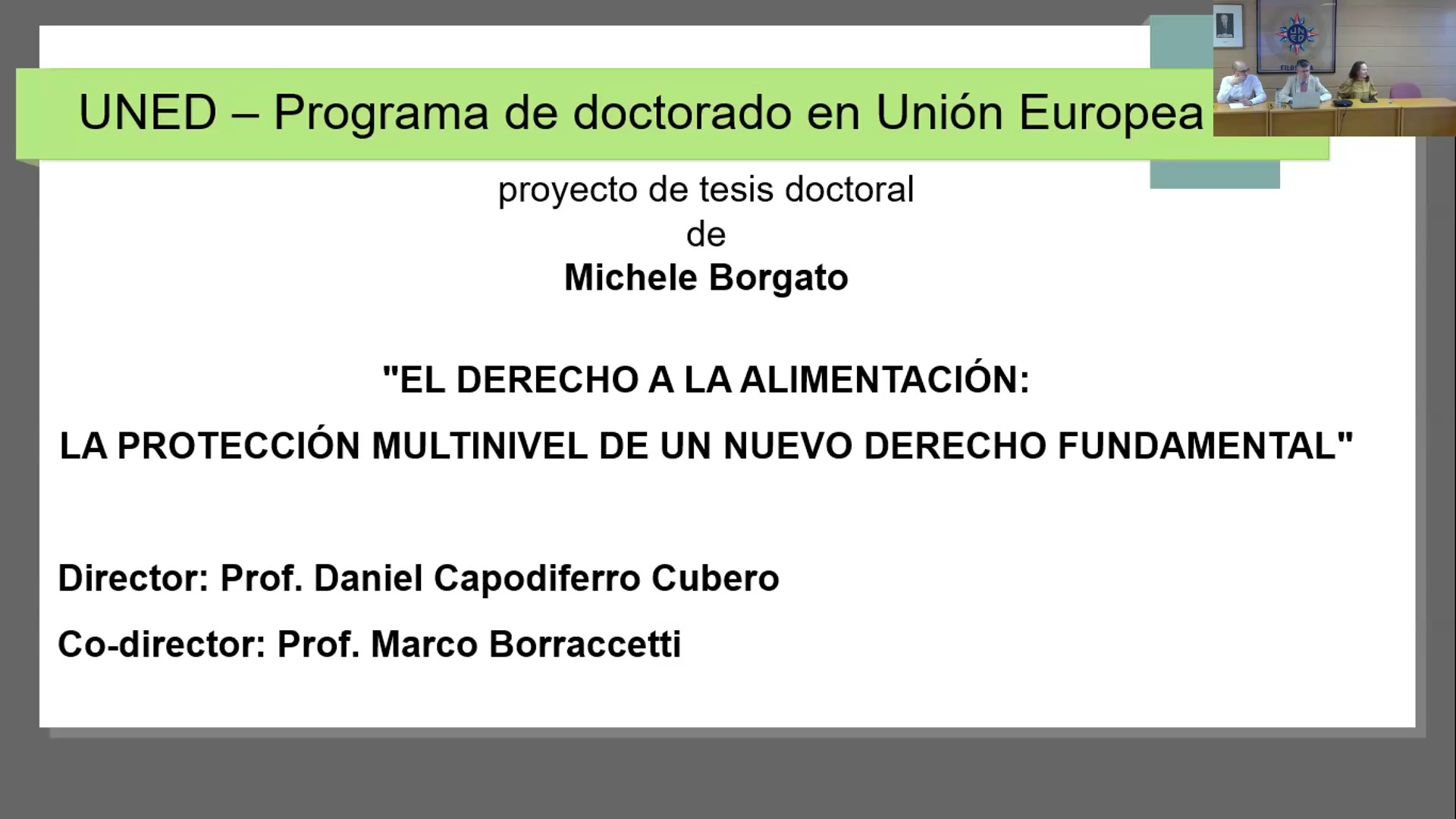 El derecho a la alimentación: protección  multinivel de un nuevo derecho fundamental