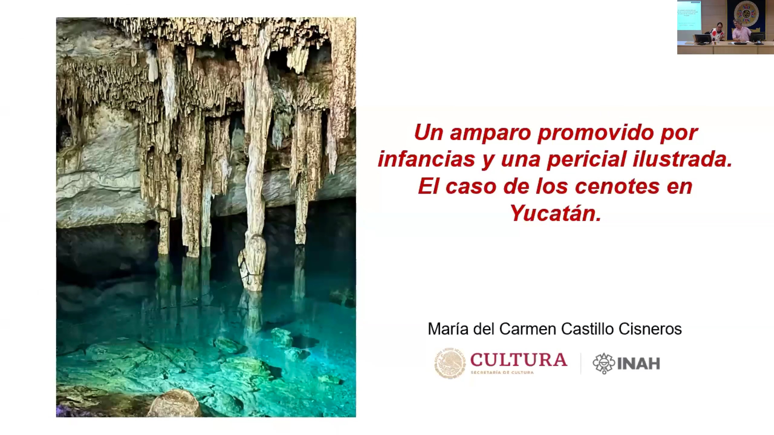 Un amparo promovido por infancias y una pericial ilustrada. El caso de los cenotes en Yucatán